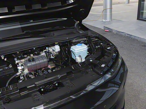 2025�� 550������