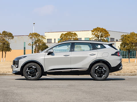 2026�� ����������