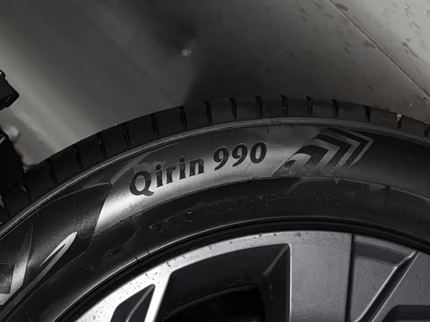 2026�� Ӱ�� 270T ������