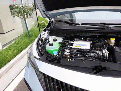 2026�� Ӱ�� 270T ������