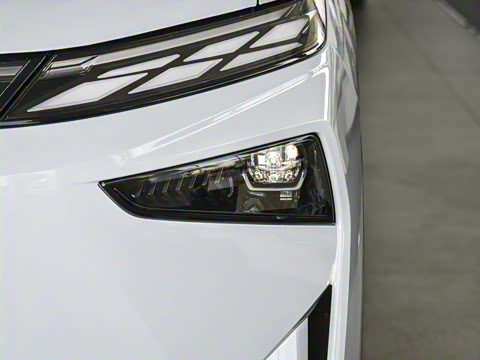 2026�� ������������