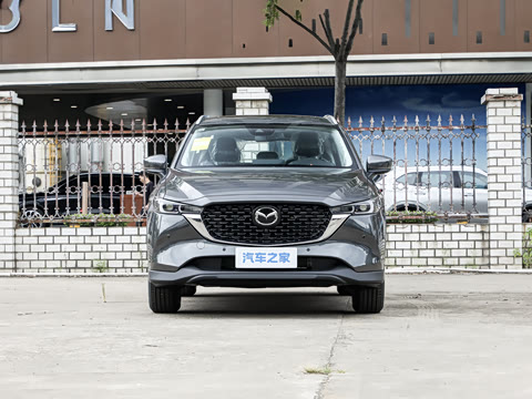 2025�� 2.0L �Զ���������Pro