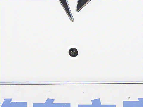 2026�� �������̳�����