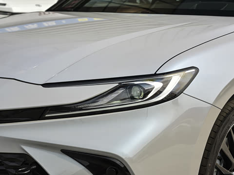 2026�� ˫�� 2.5HXS �˶�Plus��