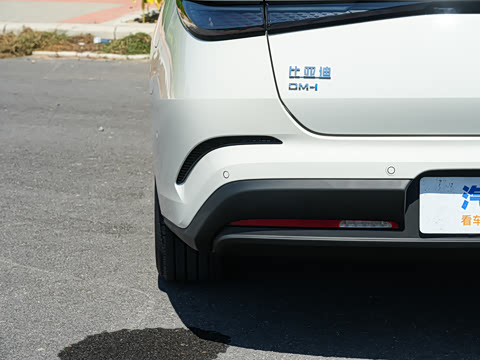 2026�� DM-i 1.5T 135km �����