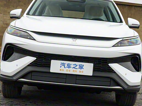 2026�� DM-i 133KM��Խ��