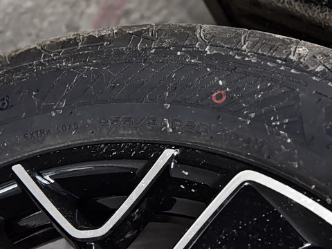 2026�� Elite �����