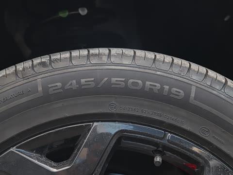 2026�� 565KM ���������