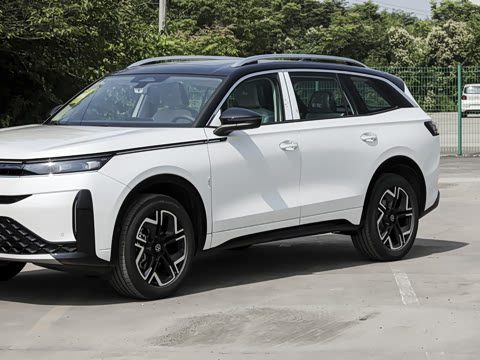 2026�� 450TSI ��������