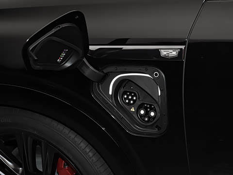 2026�� ����������