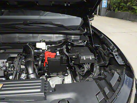 2026�� ���L 2.0T EcoBoost ��������������