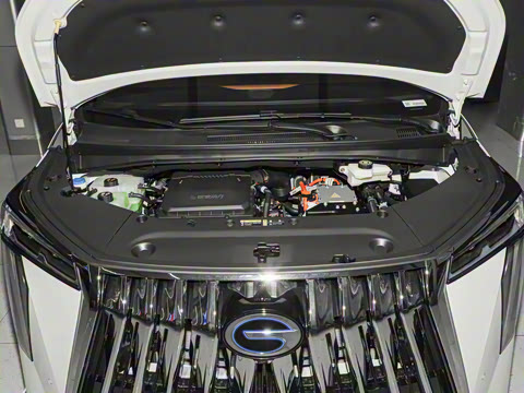 2026�� ��ʦ ������