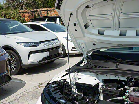 2025�� 550������