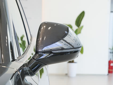 2025�� Max ������