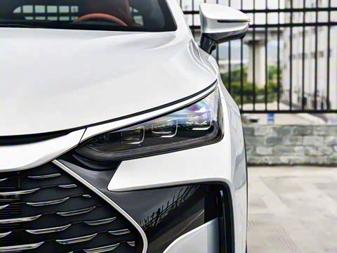 2025�� �Ǽݰ� DM-i 175KM ������