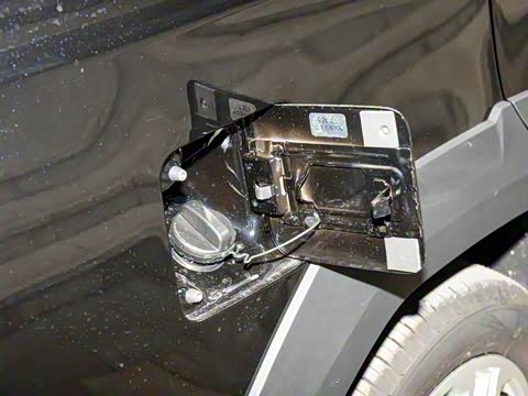 2025�� 1.5L ������