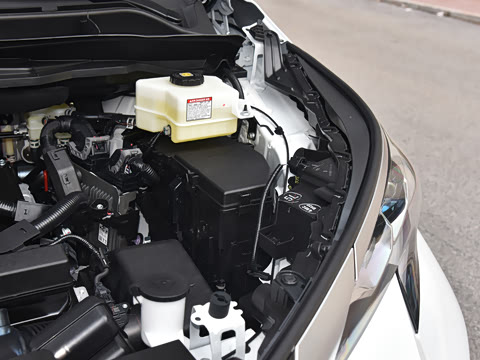 2026�� 2.5L ˫����������