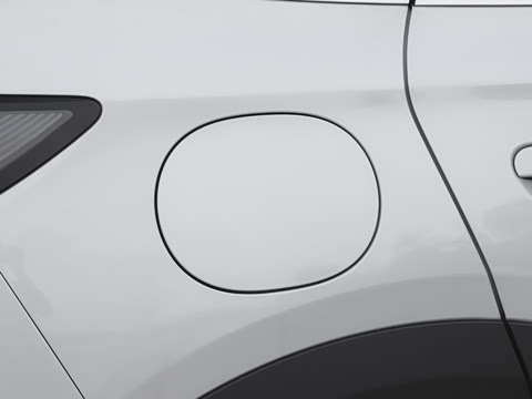 2026�� DM-i 220������