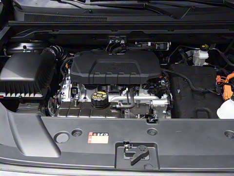 2025�� 130km �캽��