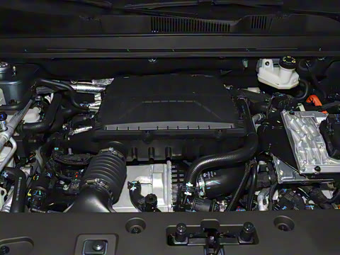 2026�� 121km ���ʰ� 5��