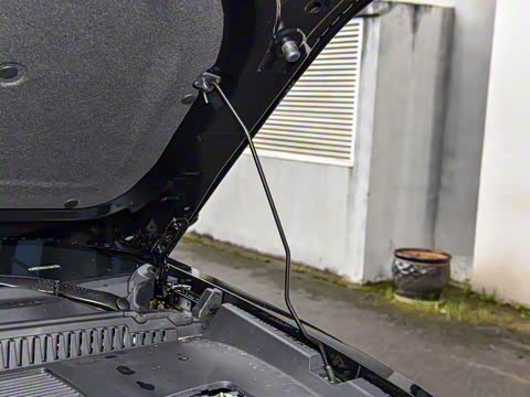 2025�� 520���������