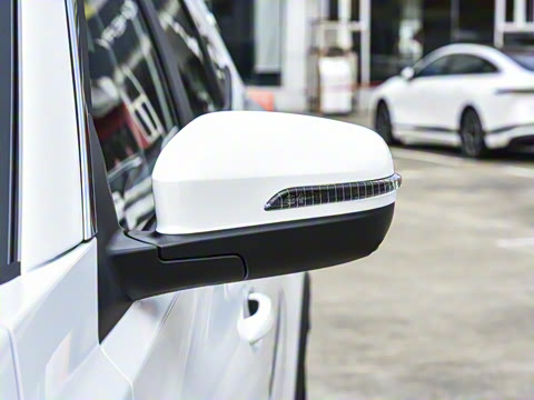 2025�� 290T ��������+