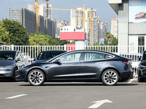 2025�� �Ŀ� ����������������