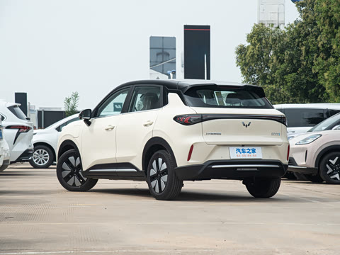 2025�� 325km ������