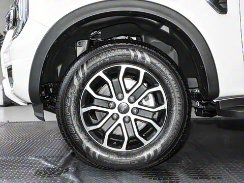 2025�� ̽�������Զ��� ����