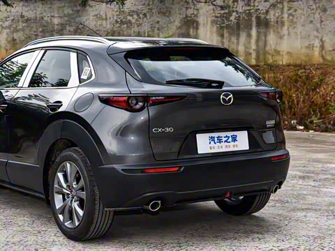 2025�� 2.0L �Զ�������