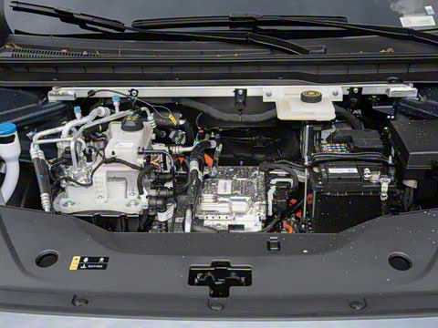 2026�� 520�Ǻ���