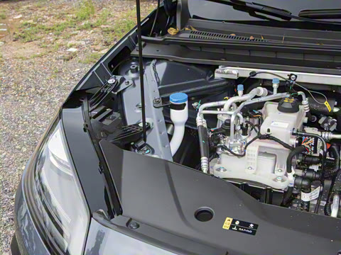 2026�� 520�Ǻ���