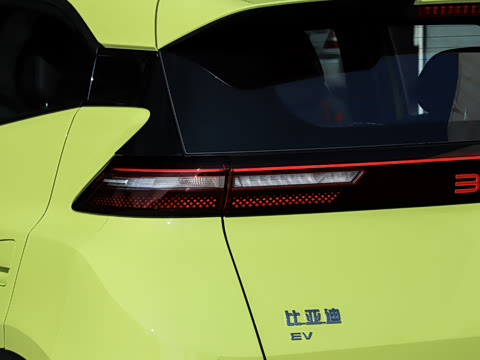 2026�� 305km ������