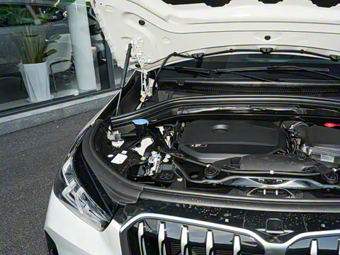 2025�� sDrive25Li X�����װ