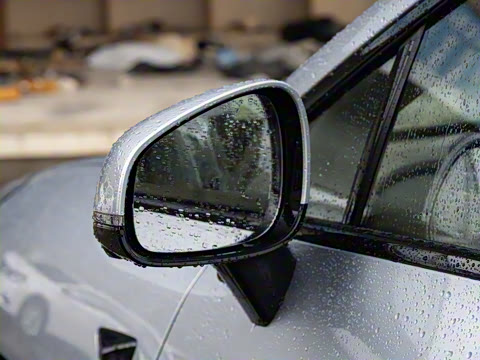 2025�� 825 Pro��