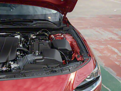 2025�� 2.0L �Զ����Ű�