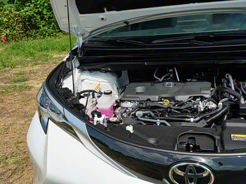 2026�� 2.5L ˫������������