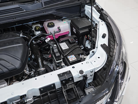 2026�� 1.5T �ֶ����ʰ�