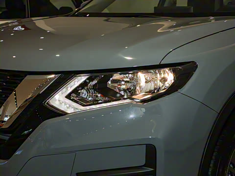 2025�� ���� 2.0L �������İ�