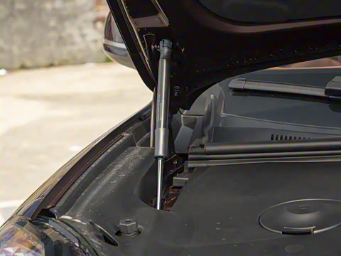 2025�� 670 Max��