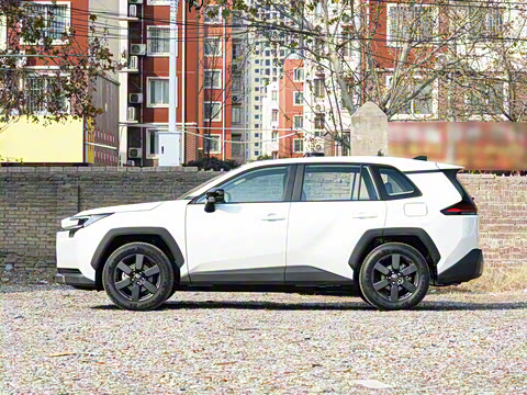 2026�� ˫�� 2.5L ����������