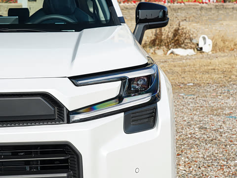 2026�� ˫�� 2.5L ����������