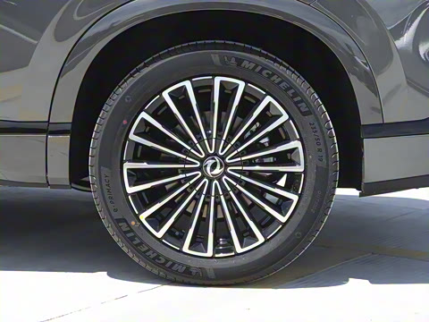 2025�� 185KM�����