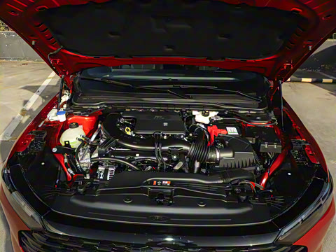 2026  2.0T  EcoBoost  