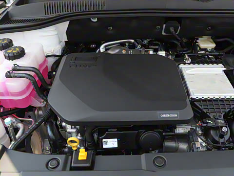 2025�� 150km ��ѡ��