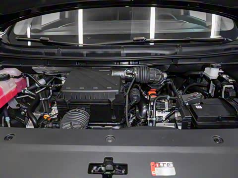 2025�� ���� �������������� ����