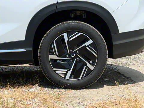 2025�� 130km �콢��