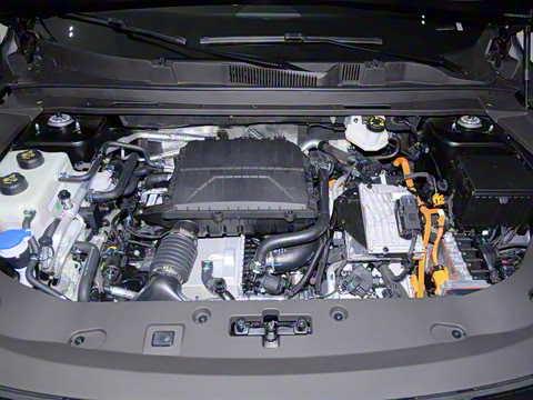 2026�� 220km ������ 5��