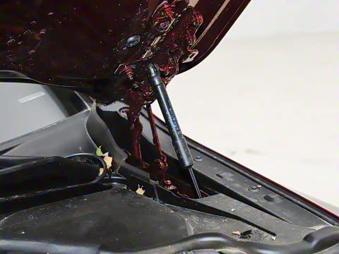 2024�� M3���Žγ� M xDrive ������