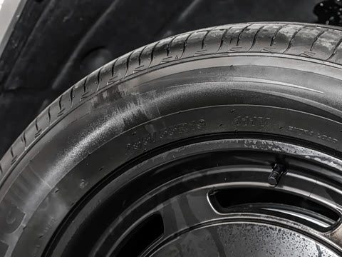 2026�� 550���������˶���